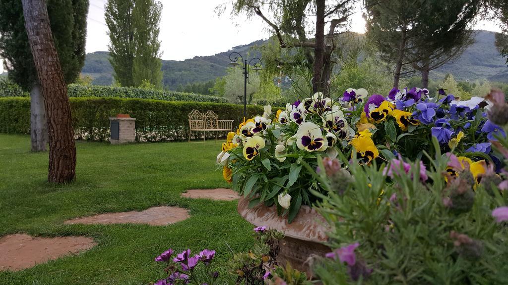 Agriturismo I Terzieri Ferentillo Exterior foto